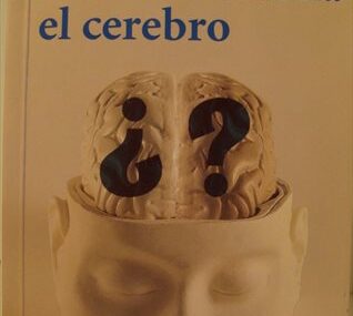 Cómo funciona el cerebro