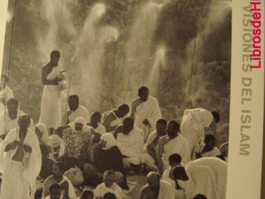Visiones del Islam