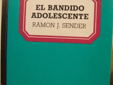 El bandido adolescente