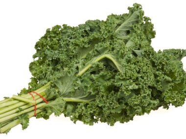 Freshly Harvested Kale Cabbage