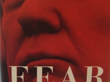 Fear. Trump in the White House